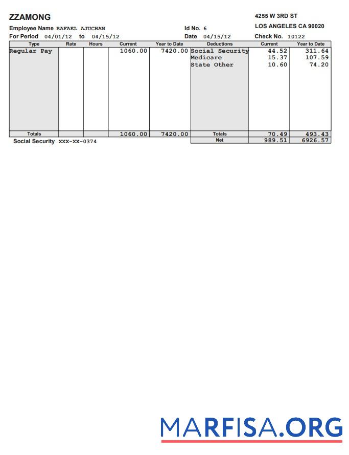 Realistic Zzamong company pay stub real example